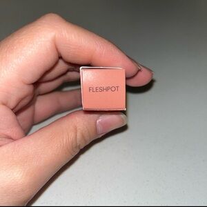 MAC Cosmetics 40th Anniversary Fleshpot Lipstick